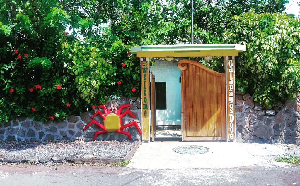 Hotel Galapagos Dove Puerto Ayora  Exterior foto